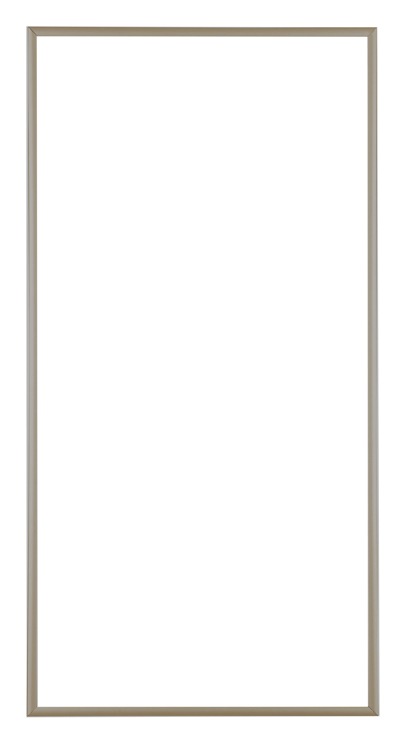 Austin Aluminium Photo Frame 20x40cm Champagne Front | Yourdecoration.com