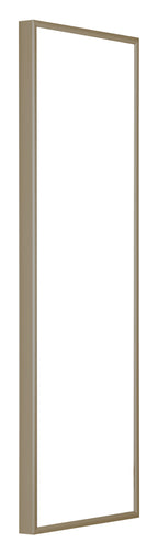 Austin Aluminium Photo Frame 20x60cm Champagne Front Oblique | Yourdecoration.com