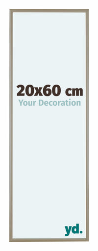 Austin Aluminium Photo Frame 20x60cm Champagne Front Size | Yourdecoration.com