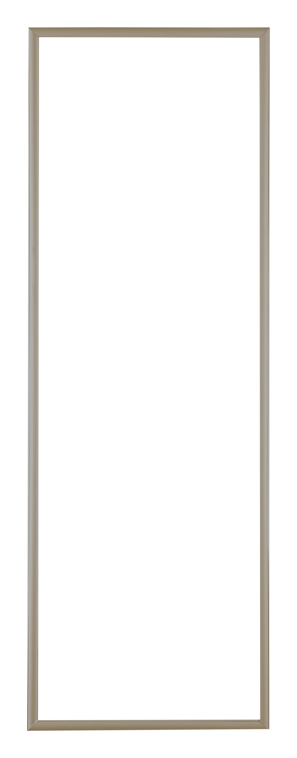Austin Aluminium Photo Frame 20x60cm Champagne Front | Yourdecoration.com