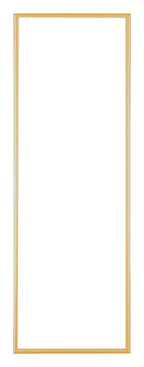 Austin Aluminium Photo Frame 20x60cm Gold Vintage Front | Yourdecoration.com