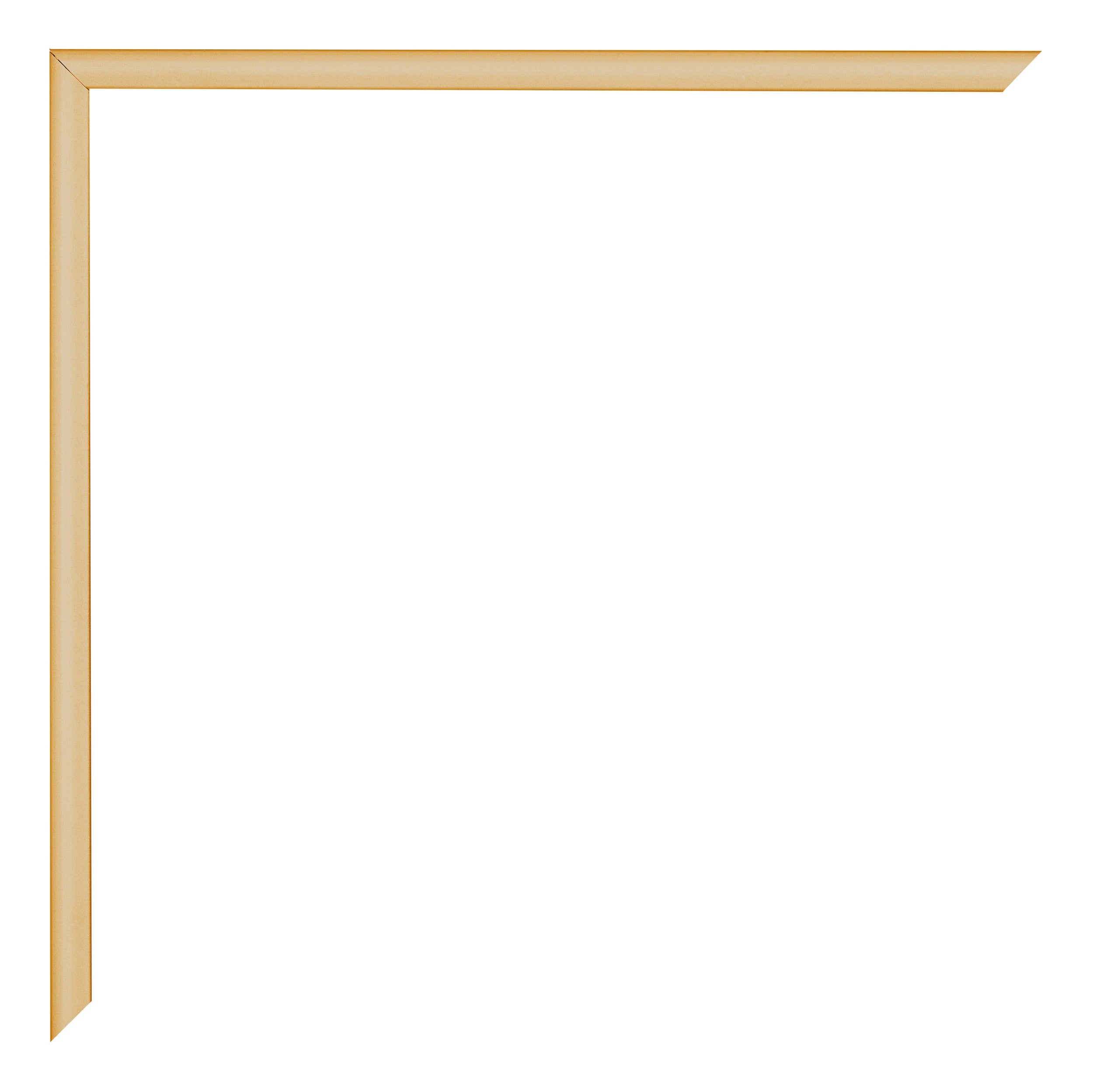Austin Aluminium Photo Frame 25x75cm Gold Vintage Detail Corner | Yourdecoration.com