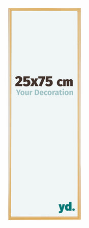 Austin Aluminium Photo Frame 25x75cm Gold Vintage Front Size | Yourdecoration.com