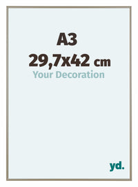 Austin Aluminium Photo Frame 29 7x42cm A3 Champagne Front Size | Yourdecoration.com