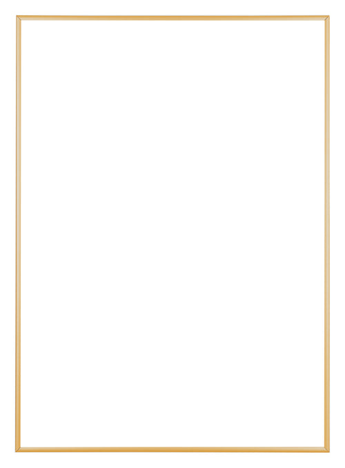 Austin Aluminium Photo Frame 29 7x42cm A3 Gold Vintage Front | Yourdecoration.com