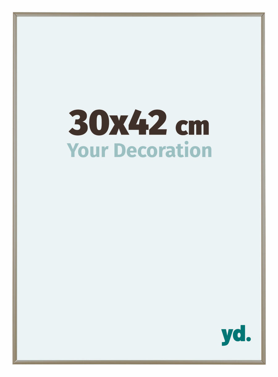Austin Aluminium Photo Frame 30x42cm Champagne Front Size | Yourdecoration.com