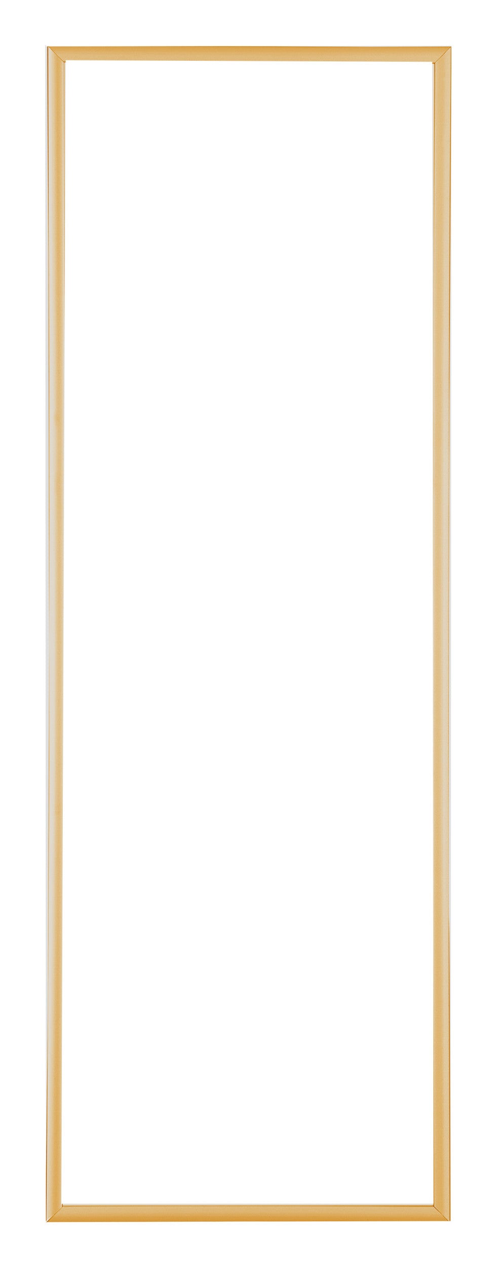 Austin Aluminium Photo Frame 33x98cm Gold Vintage Front | Yourdecoration.com