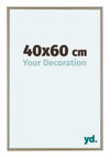 Austin Aluminium Photo Frame 40x60cm Champagne Front Size | Yourdecoration.com