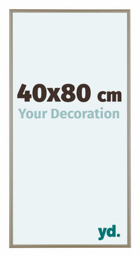 Austin Aluminium Photo Frame 40x80cm Champagne Front Size | Yourdecoration.com