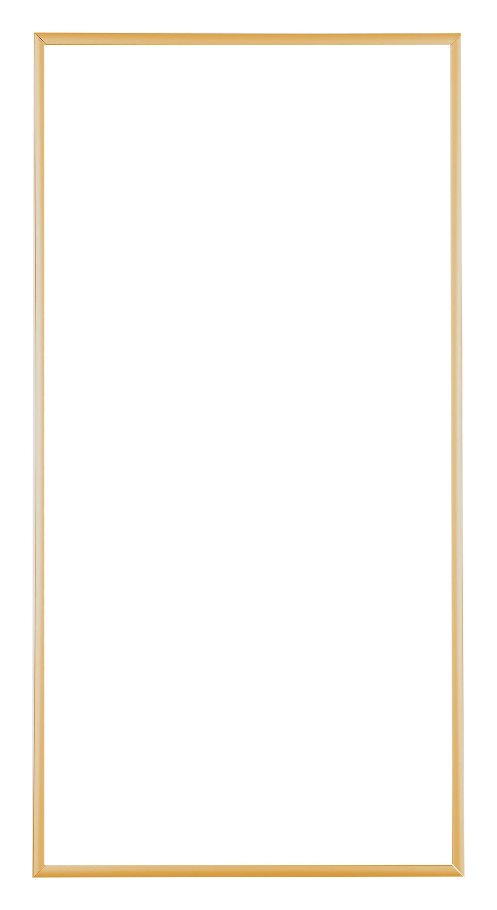 Austin Aluminium Photo Frame 45x80cm Gold Vintage Front | Yourdecoration.com