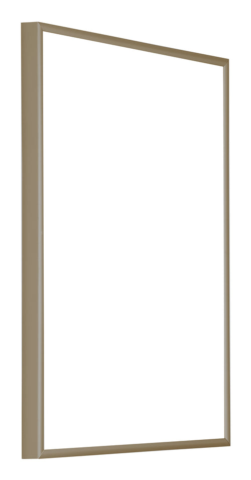 Austin Aluminium Photo Frame 46x61cm Champagne Front Oblique | Yourdecoration.com