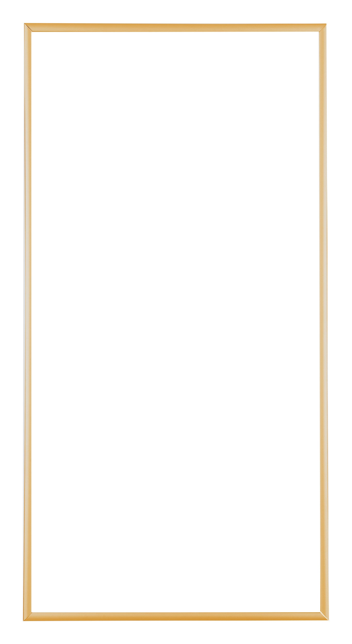 Austin Aluminium Photo Frame 50x100cm Gold Vintage Front | Yourdecoration.com