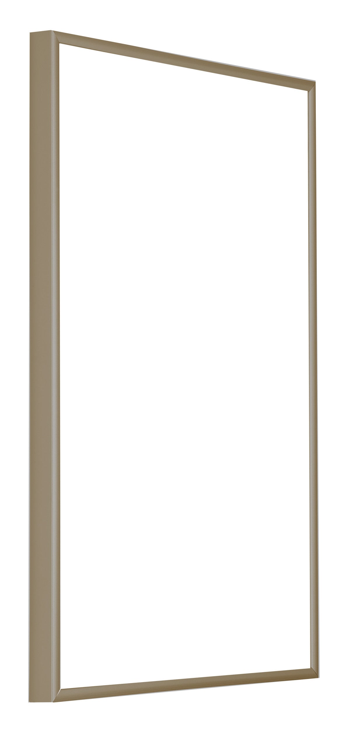 Austin Aluminium Photo Frame 50x75cm Champagne Front Oblique | Yourdecoration.com