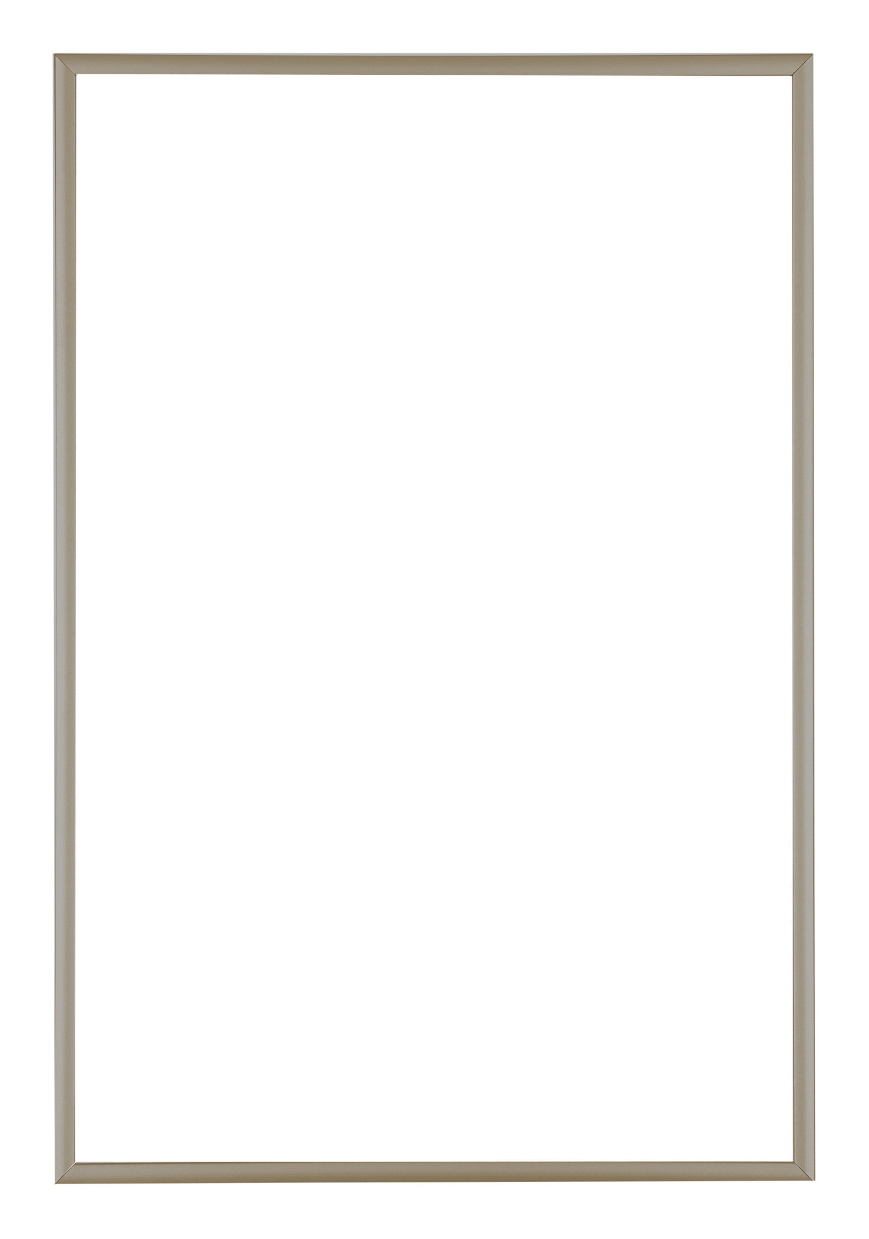 Austin Aluminium Photo Frame 50x75cm Champagne Front | Yourdecoration.com
