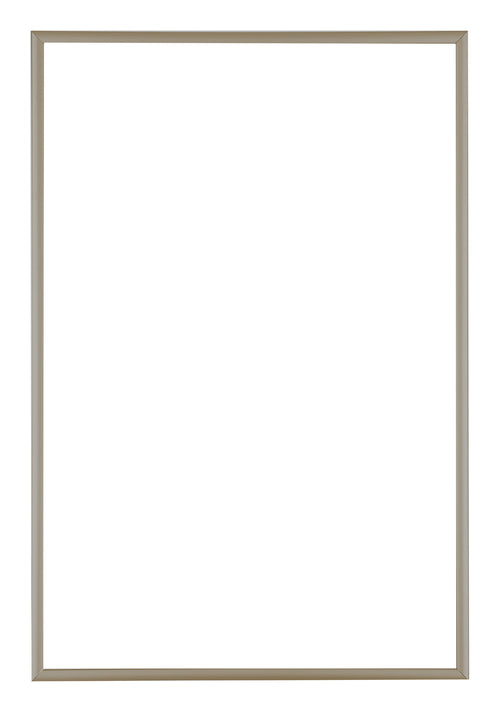 Austin Aluminium Photo Frame 50x75cm Champagne Front | Yourdecoration.com