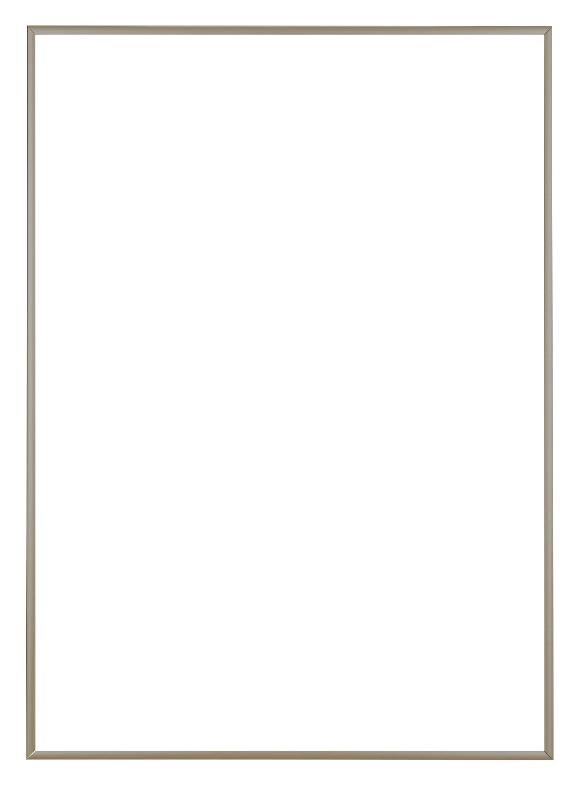 Austin Aluminium Photo Frame 59 4x84cm A1 Champagne Front | Yourdecoration.com
