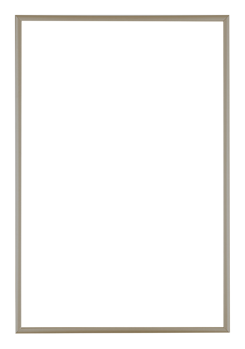 Austin Aluminium Photo Frame 60x90cm Champagne Front | Yourdecoration.com