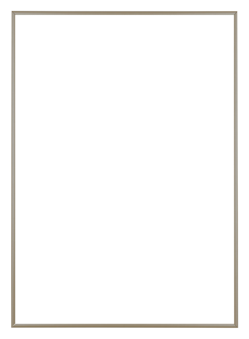 Austin Aluminium Photo Frame 70x100cm Champagne Front | Yourdecoration.com