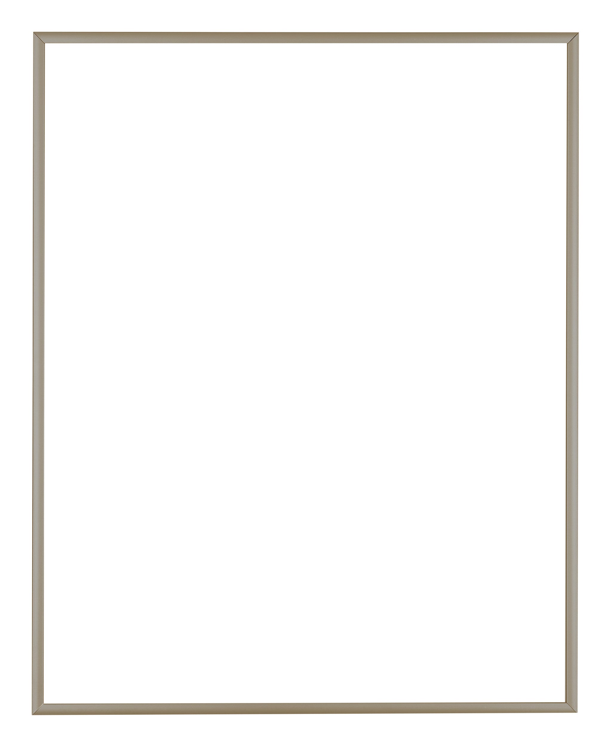 Austin Aluminium Photo Frame 70x90cm Champagne Front | Yourdecoration.com