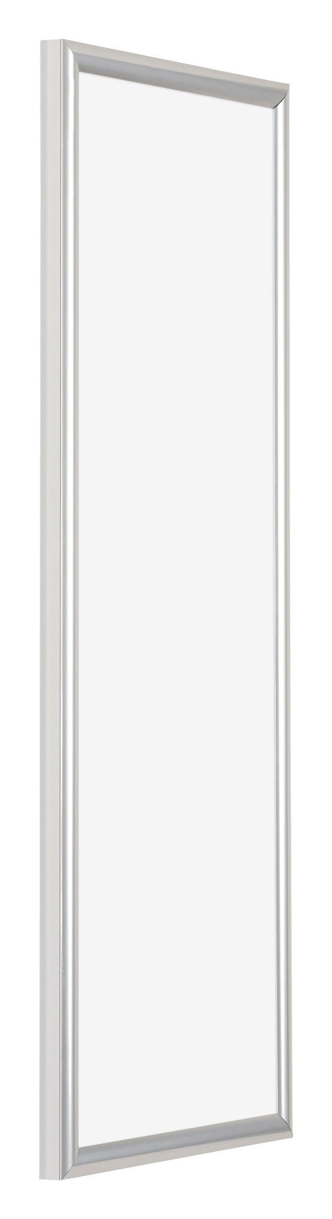 Bordeaux Plastic Photo Frame 33x98cm Silver Front Oblique | Yourdecoration.com