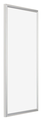 Bordeaux Plastic Photo Frame 50x100cm Silver Front Oblique | Yourdecoration.com
