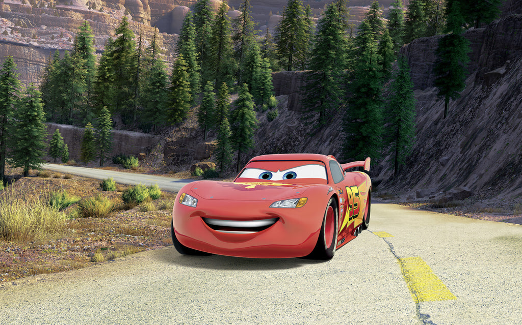 Disney and Pixar Cars Every Road Has A Story Wall Mural DX8 248 | Yourdecoration.com