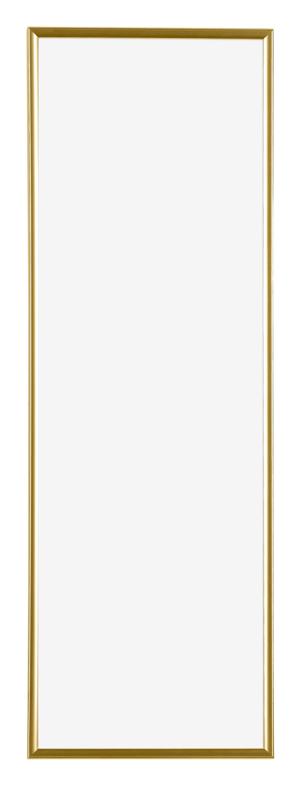 Evry Plastic Photo Frame 20x60cm Gold Front | Yourdecoration.nl