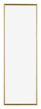 Evry Plastic Photo Frame 20x60cm Gold Front | Yourdecoration.nl