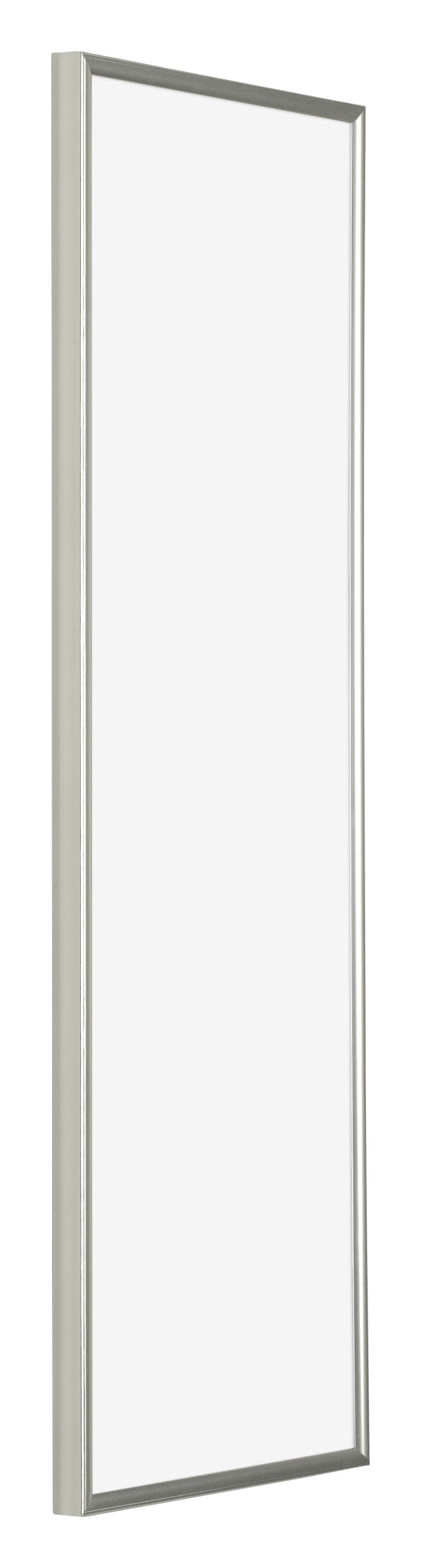 Evry Plastic Photo Frame 33x98cm Champagne Front Oblique | Yourdecoration.com