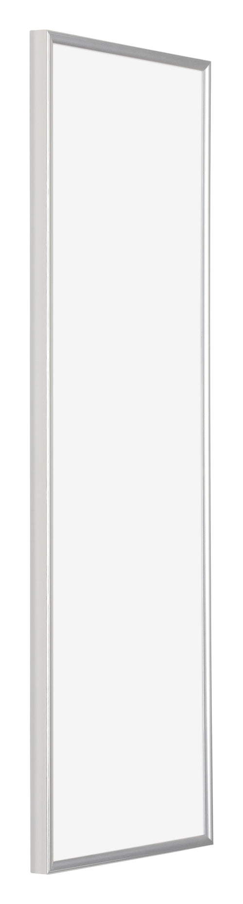 Evry Plastic Photo Frame 33x98cm Silver Front Oblique | Yourdecoration.com