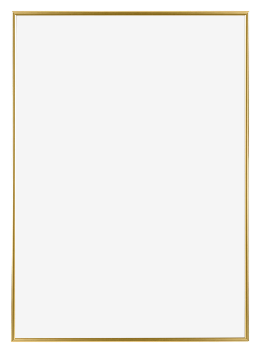 Evry Plastic Photo Frame 42x59 4cm A2 Gold Front | Yourdecoration.nl