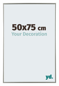 Evry Plastic Photo Frame 50x75cm Champagne Front Size | Yourdecoration.com