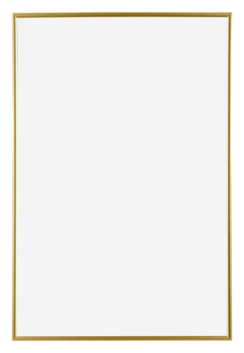 Evry Plastic Photo Frame 60x90cm Gold Front | Yourdecoration.nl