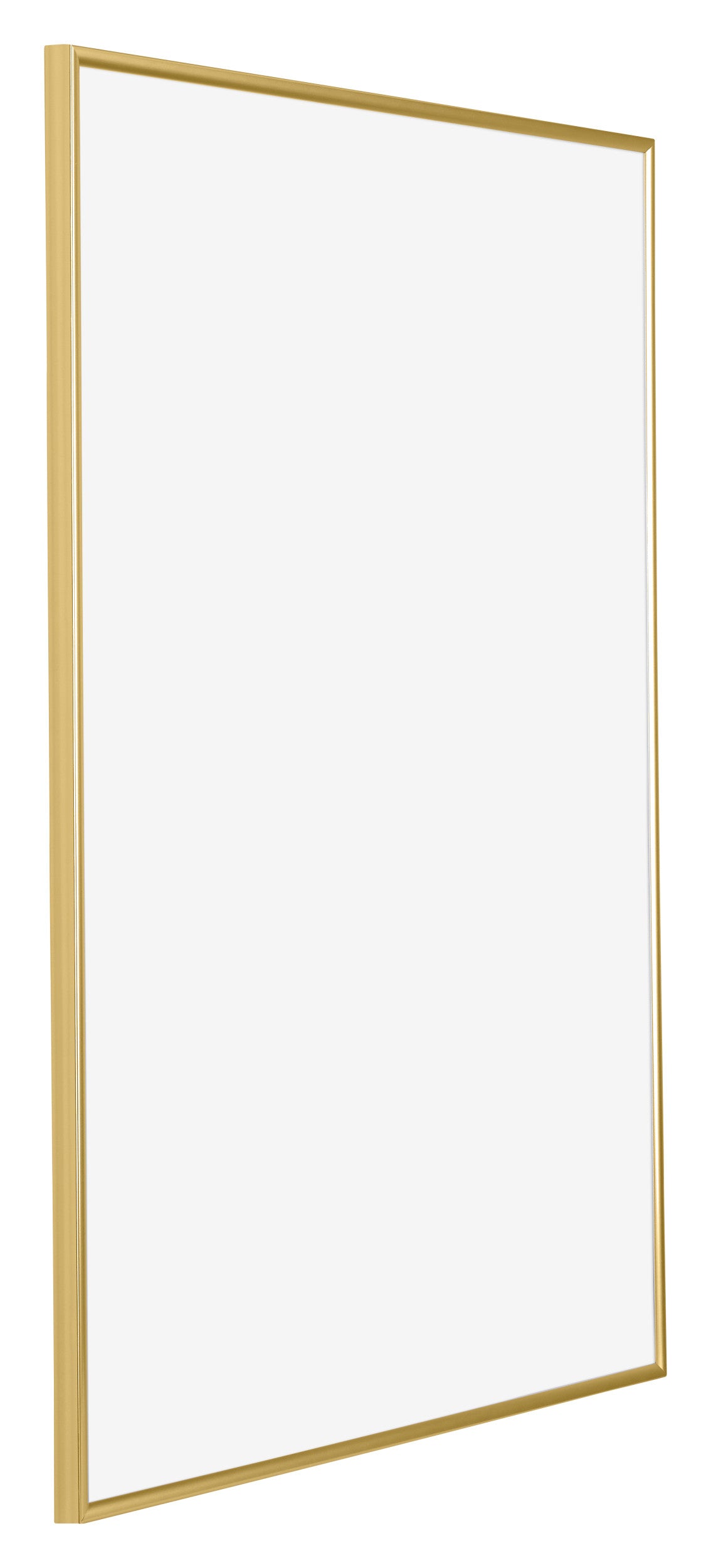 Evry Plastic Photo Frame 67x98cm Gold Front Oblique | Yourdecoration.com
