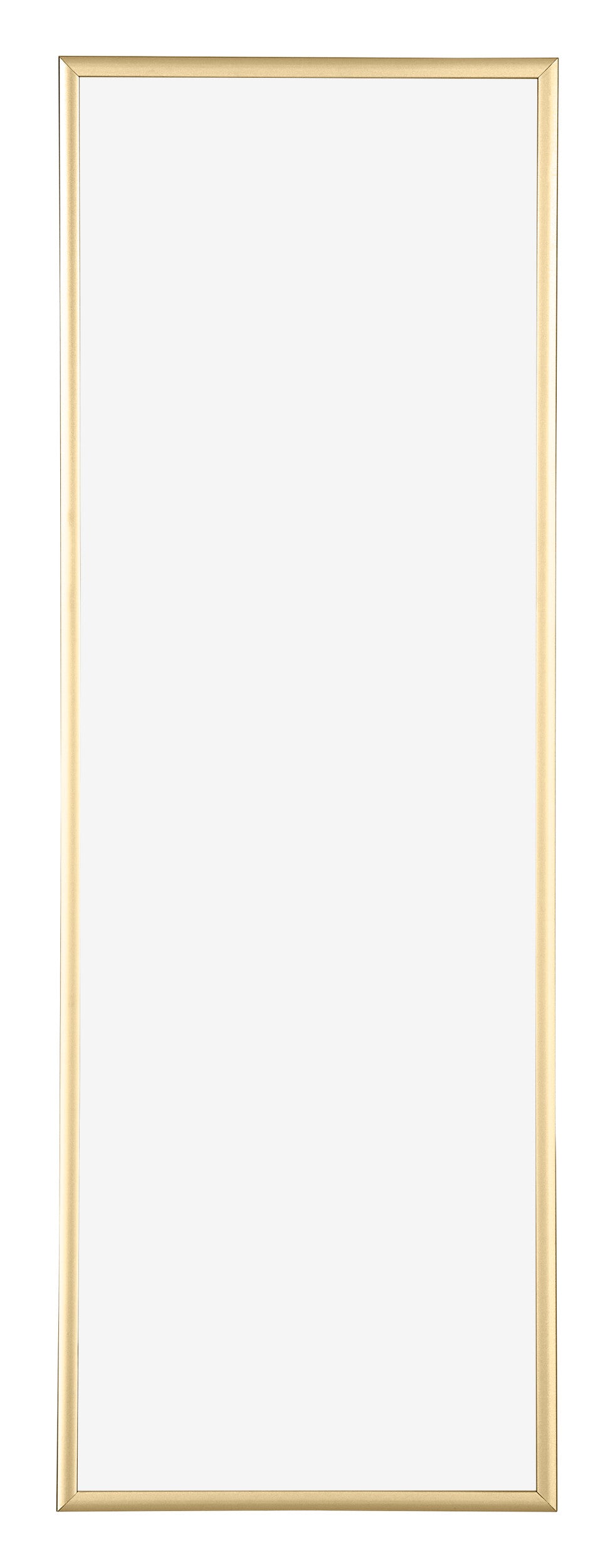 Kent Aluminium Photo Frame 25x75cm Gold Front | Yourdecoration.com
