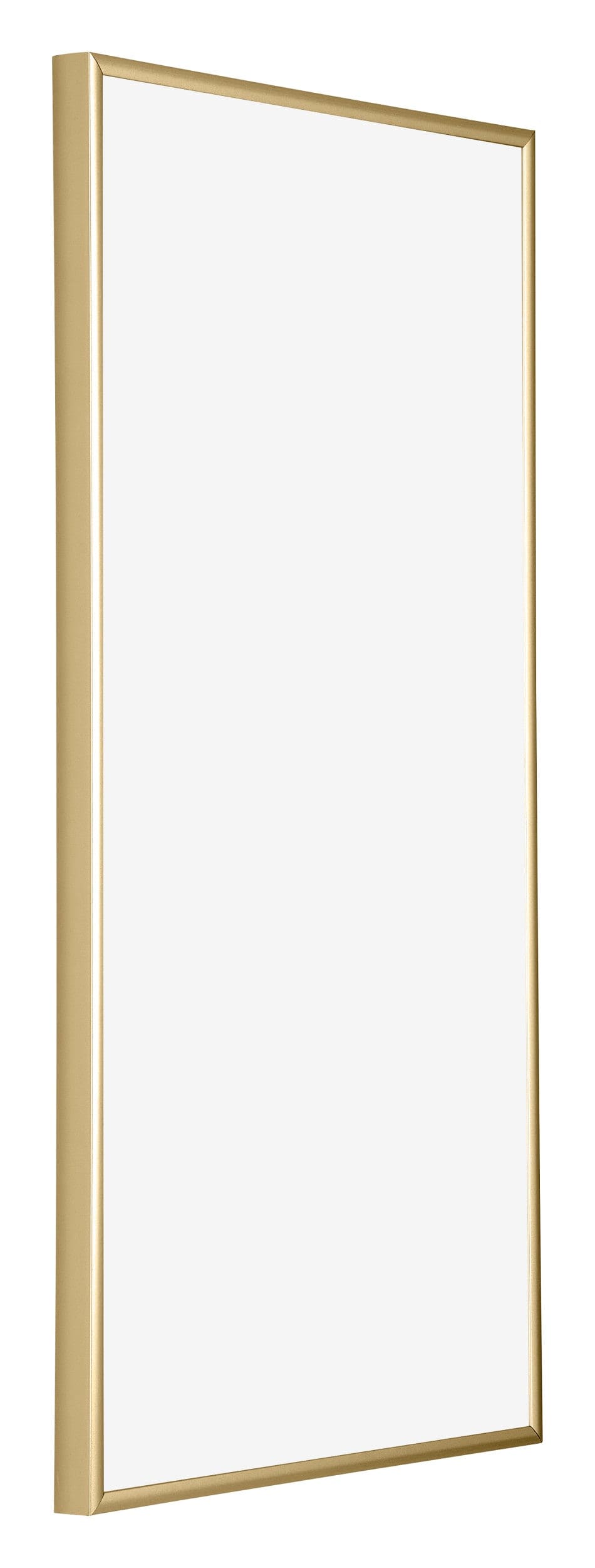 Kent Aluminium Photo Frame 50x100cm Gold Front Oblique | Yourdecoration.com