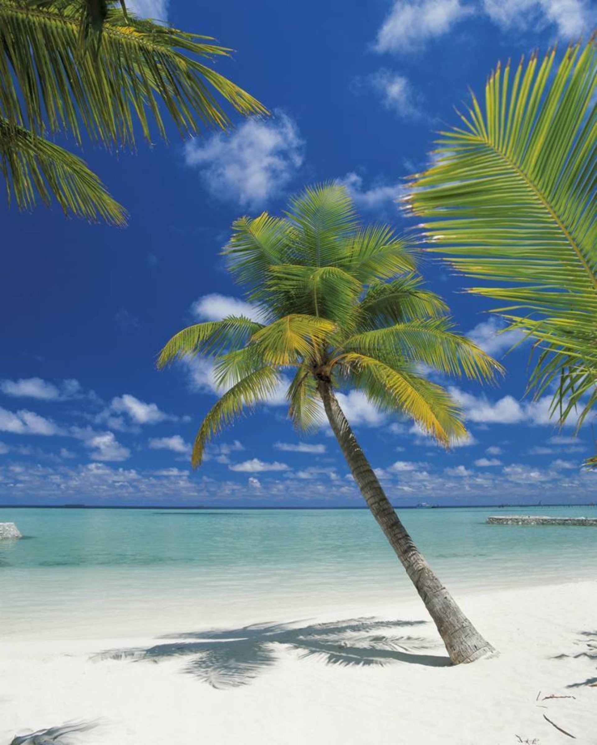 Komar Ari Atoll Wall Mural 184x254cm | Yourdecoration.com