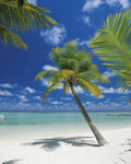 Komar Ari Atoll Wall Mural 184x254cm | Yourdecoration.com
