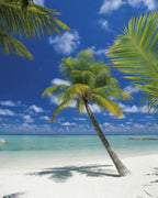 Komar Ari Atoll Wall Mural 184x254cm | Yourdecoration.com