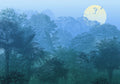 Komar Non Woven Wall Mural Inx8 052 Deep In The Jungle | Yourdecoration.com