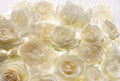 Komar Shalimar Non Woven Wall Mural 368x248cm | Yourdecoration.com