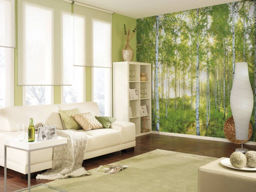 Komar Sunday Wall Mural National Geographic 368x254cm | Yourdecoration.com