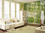 Komar Sunday Wall Mural National Geographic 368x254cm | Yourdecoration.com