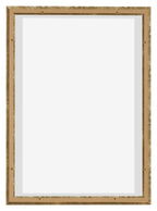 Lyon MDF Canvas Floater Frame 5 7 Gold Antique Back | Yourdecoration.com