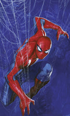 Marvel Spider Man Spider Wall Mural DX3 210 | Yourdecoration.com