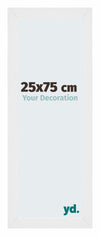 Mura MDF Photo Frame 25x75cm Aluminum Brushed Front Size | Yourdecoration.com