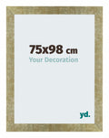 Mura MDF Photo Frame 75x98cm Gold Antique Front Size | Yourdecoration.com
