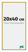New York Aluminium Photo Frame 20x40cm Gold Shiny Front Size | Yourdecoration.com