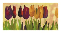 PGM CGC 14 Carlos Gomez Carpintero Tulipa II Art Print 54x30cm | Yourdecoration.com