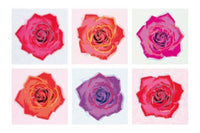 PGM EP 41 Emily Pop Pop Roses Art Print 91x61cm | Yourdecoration.com
